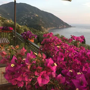  Bed & Breakfast Rosse